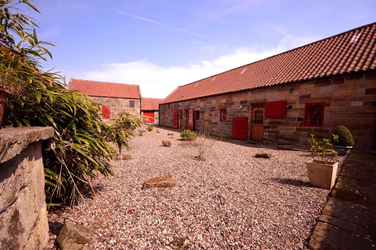 Sebright Cottage, Borrowby Farm Cottages Staithes Buitenkant foto