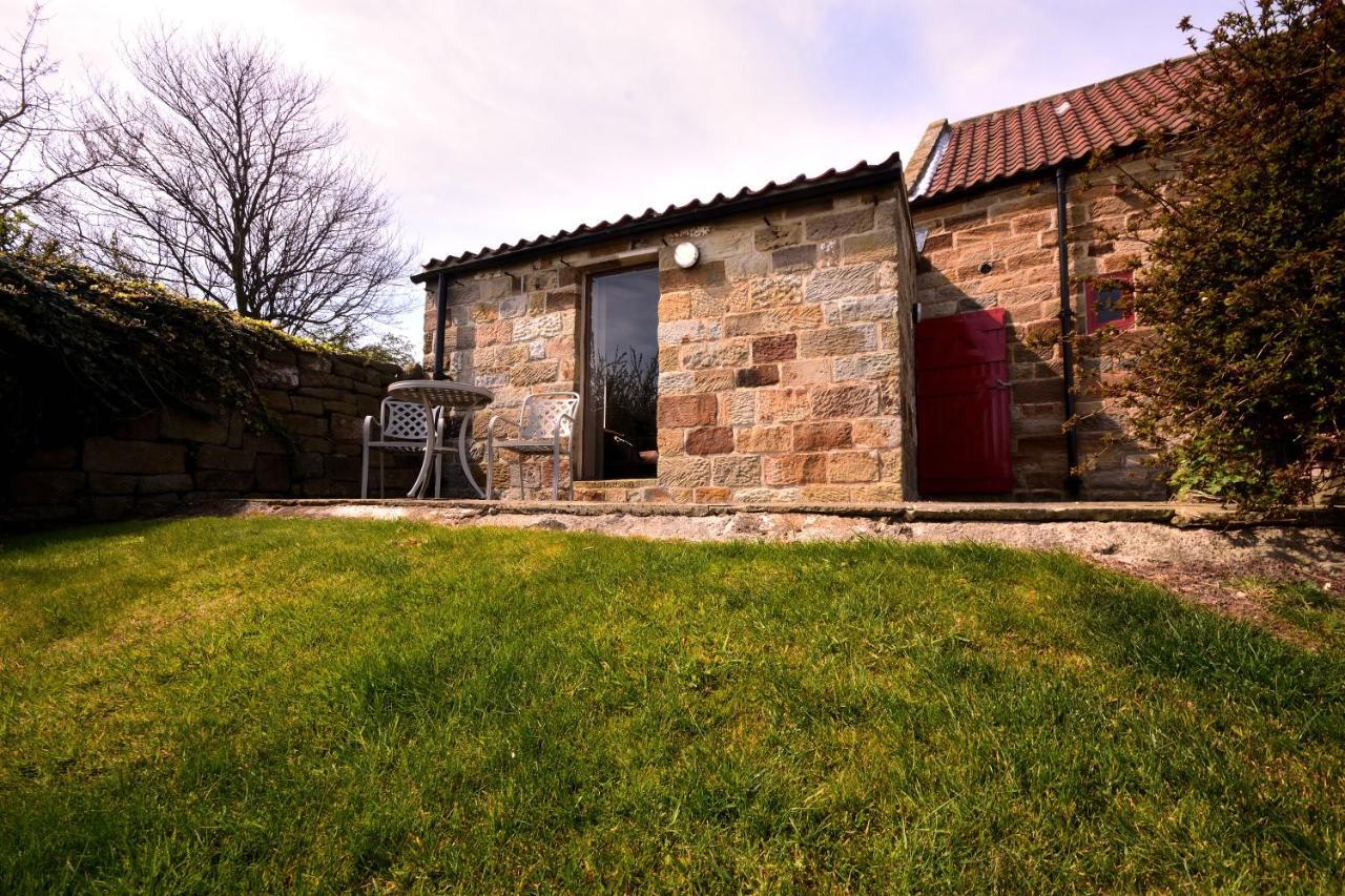 Sebright Cottage, Borrowby Farm Cottages Staithes Buitenkant foto