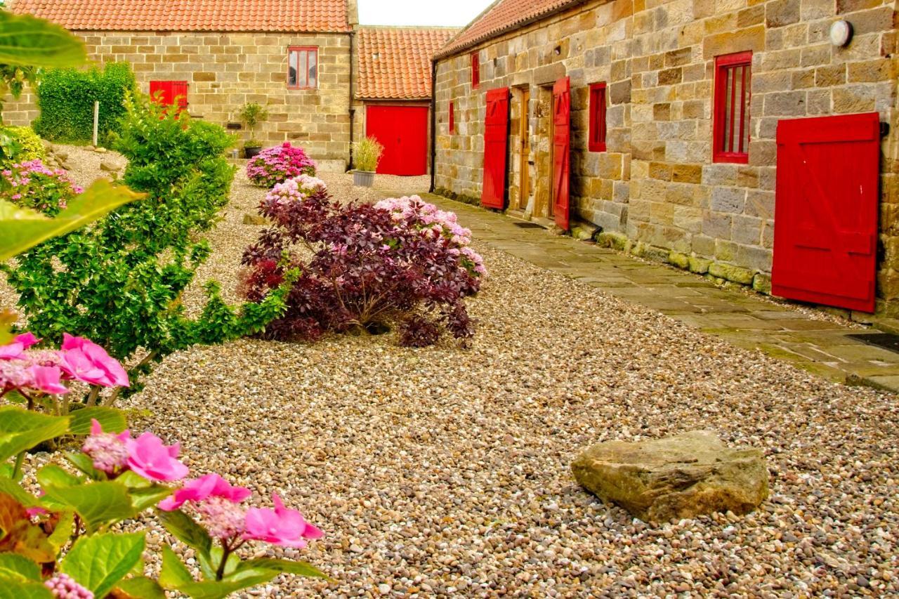 Sebright Cottage, Borrowby Farm Cottages Staithes Buitenkant foto