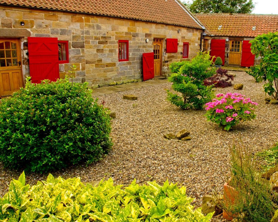 Sebright Cottage, Borrowby Farm Cottages Staithes Buitenkant foto