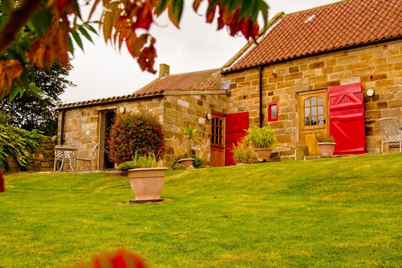 Sebright Cottage, Borrowby Farm Cottages Staithes Buitenkant foto